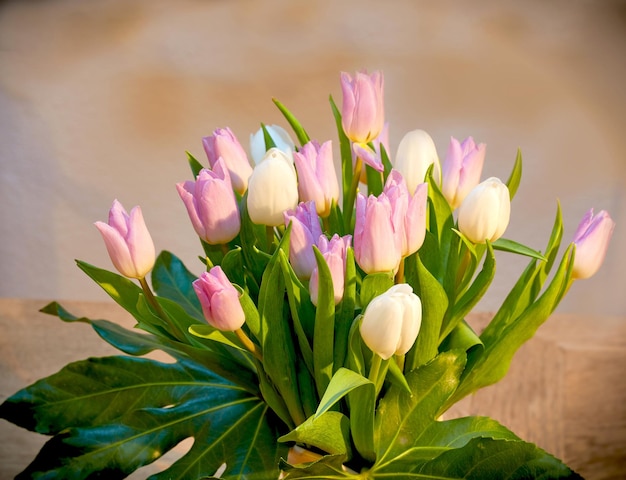 Bellissimo bouquet di tulipani su un tavolo da soggiorno Fiori graziosi in un vaso per la decorazione della casa Piante da fiore di tulipano rosa e bianco con stelo verde usate come ornamenti per la casa per illuminare una stanza
