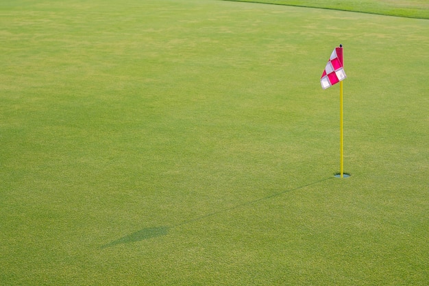 Bellissimo campo da golf con bandiera e buco