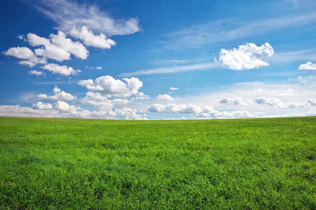 Bellissimo campo verde e cielo nuvoloso blu.