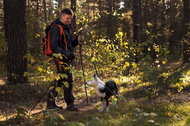 Bellissimo cane bianco e nero che cammina nel bosco