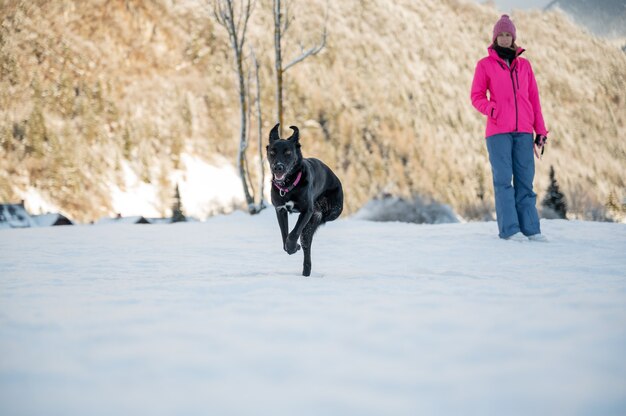 Bellissimo cane da pastore nero con tre zampe che corre in una natura invernale innevata