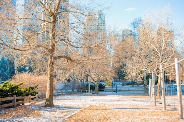 Bellissimo Central Park a New York City