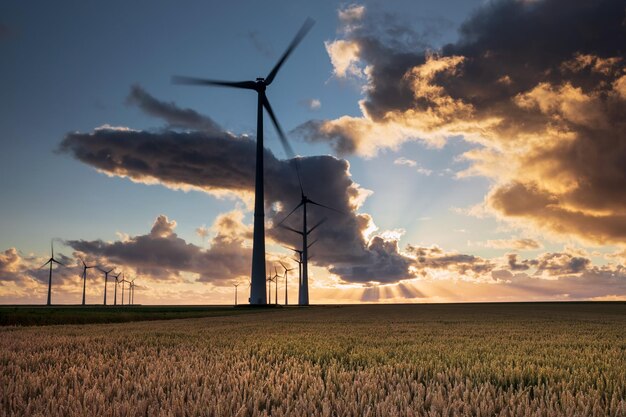 bellissimo cielo al tramonto sopra le turbine e il cielo del grano