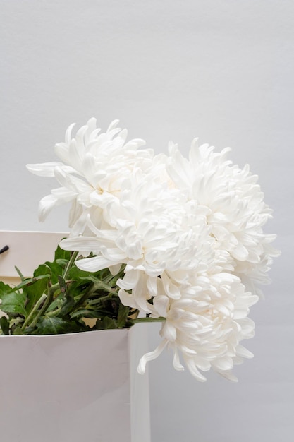 Bellissimo concetto di fiore Bouquet di crisantemo bianco in fiore in borsa su sfondo grigio