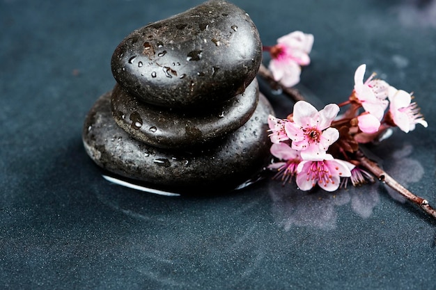 Bellissimo concetto Zen L'oggetto delle pietre sul pavimento bagnato Armonia Meditazione Pietre Zen e fiori di ciliegio