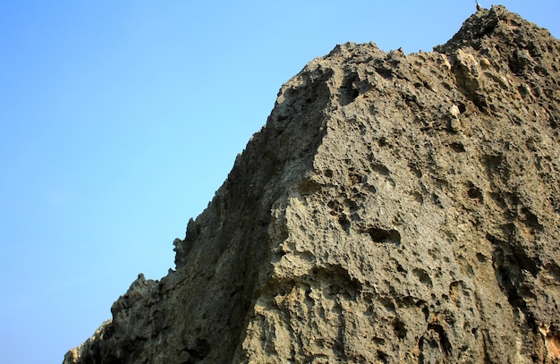 Bellissimo corallo in spiaggia con cielo blu