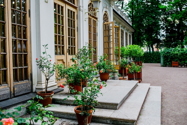 Bellissimo cortile con fiori. esterno di casa carina.