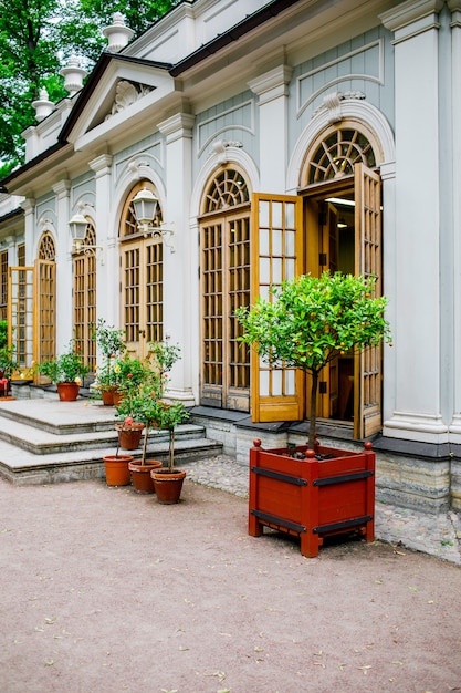 Bellissimo cortile con fiori. esterno di casa carina.