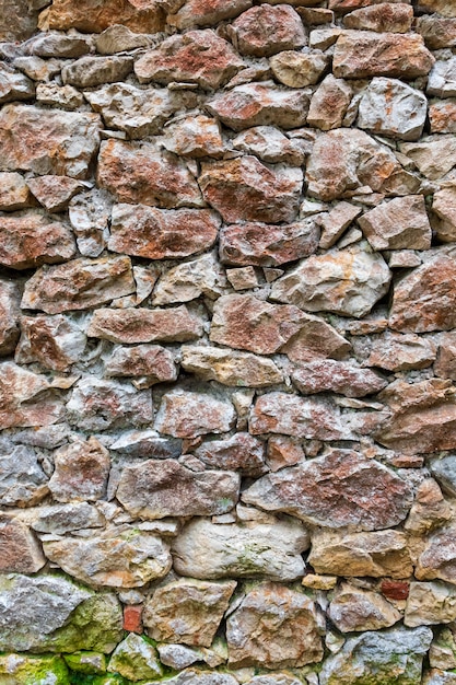 Bellissimo e antico muro in pietra con muschio e vegetazione (muschio, felci, erba) esposto a nord