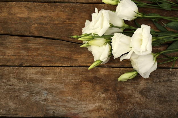 Bellissimo eustoma su fondo in legno