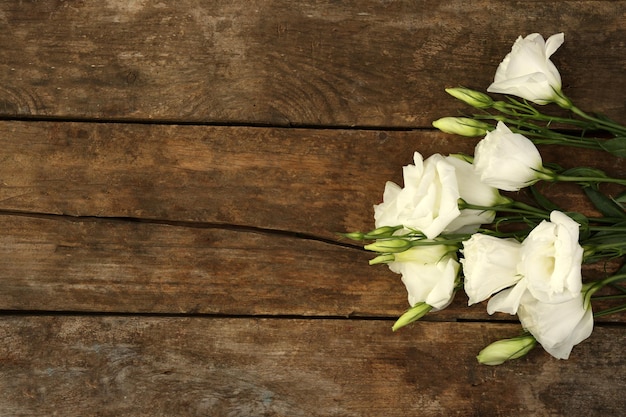 Bellissimo eustoma su fondo in legno