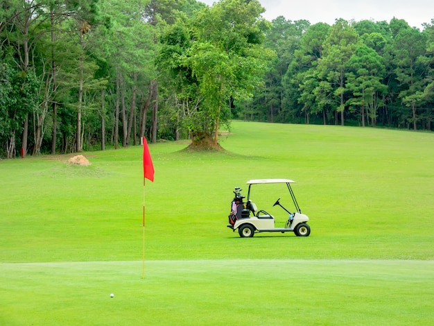 Bellissimo fairway nel campo da golf