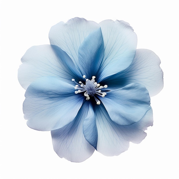 Bellissimo fiore blu morbido
