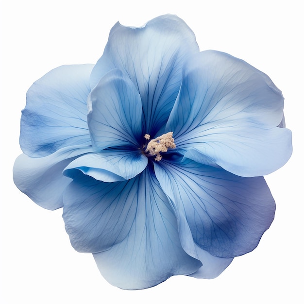 Bellissimo fiore blu morbido