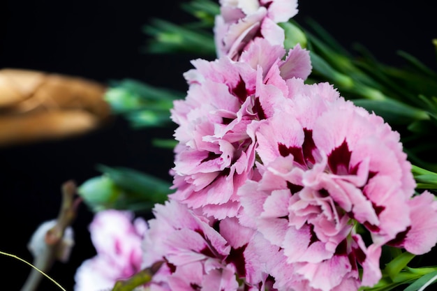 Bellissimo fiore di garofano decorativo, un piccolo bouquet di bellissimi fiori di garofano nella stagione primaverile