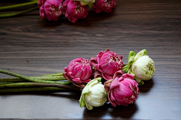 Bellissimo fiore di loto rosa e bianco per pregare buddha su fondo in legno