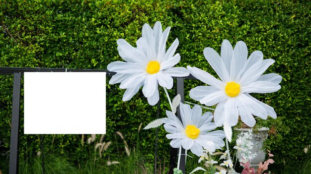 Bellissimo fiore sfondo natura colorata