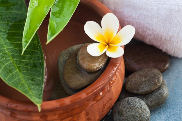 Bellissimo fiore tropicale e spa per un massaggio sano
