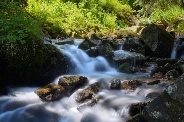 Bellissimo fiume di montagna con cascate di pietre e piante verdi nella foresta