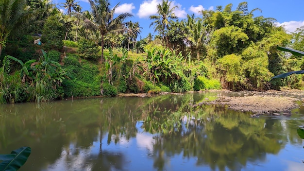 bellissimo fiume in Indonesia