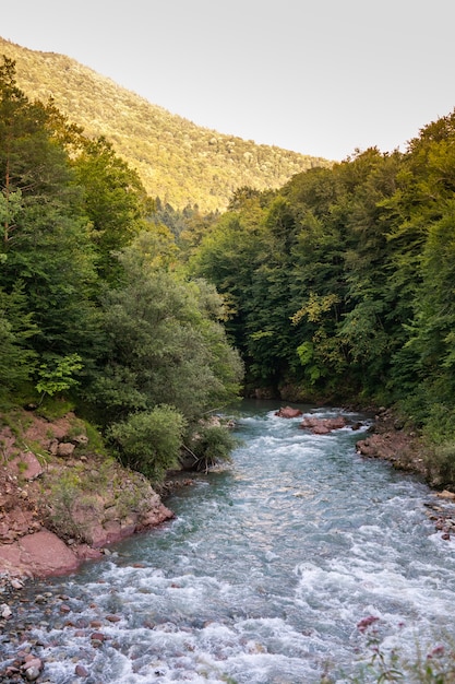 bellissimo fiume scorre tra le rocce