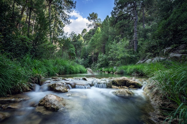 Bellissimo fiume scortato da vegetazione verde e un cielo blu