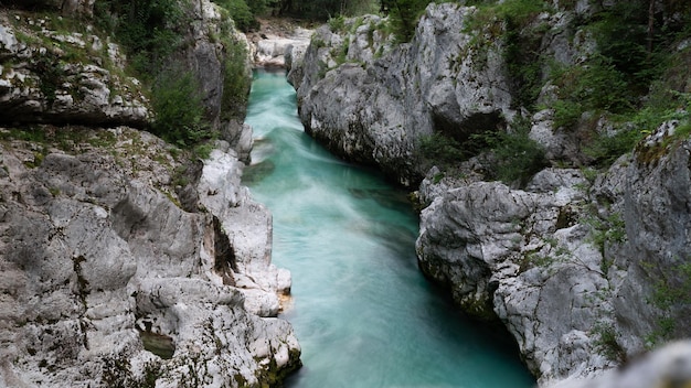 Bellissimo fiume verde di soca con nebbia mattutina bianca sopra di esso