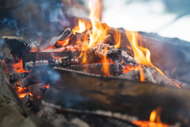 Bellissimo fuoco falò colorato brucia nella griglia per cucinare il cibo