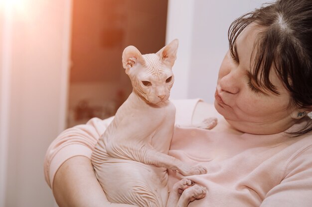 Bellissimo gatto sphynx glabro tra le braccia della padrona