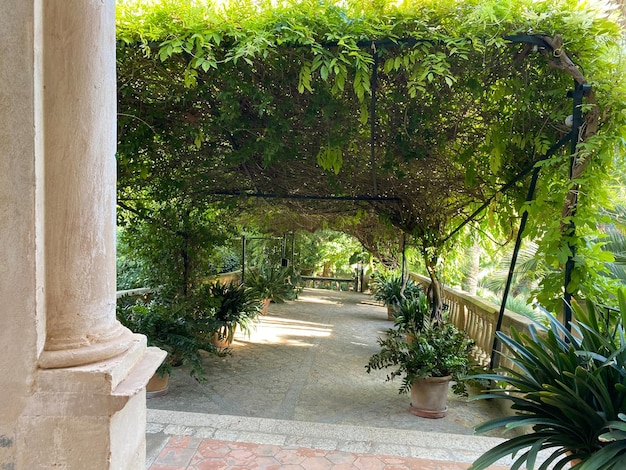 Bellissimo giardino a Maiorca