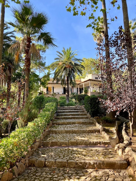 Bellissimo giardino a Maiorca