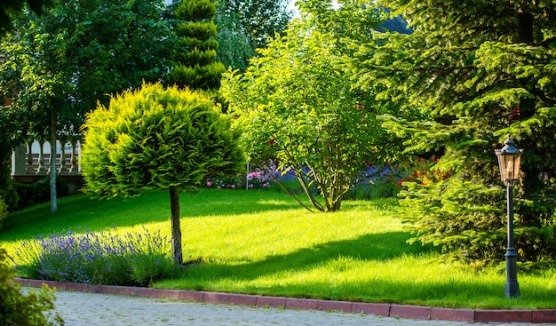 Bellissimo giardino con vegetazione vibrante