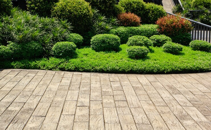 Bellissimo giardino e pianta nella stagione estiva