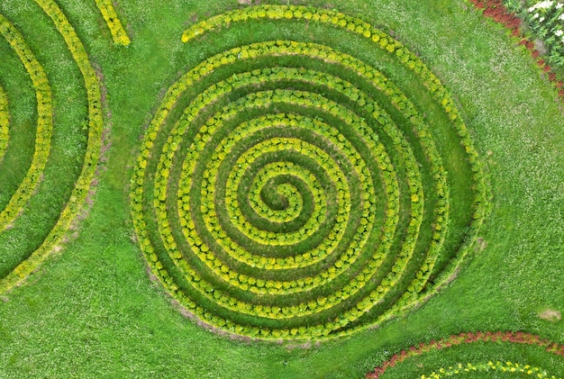 Bellissimo giardino estivo con prato verde e cespugli a forma di spirale.