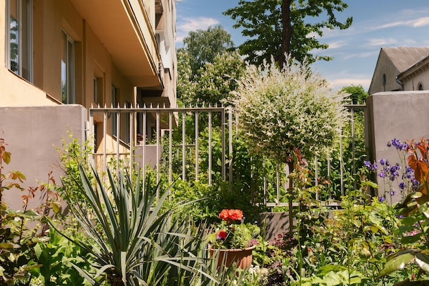 Bellissimo giardino estivo della città periferica Piante verdi vicino a case moderne in zone residenziali