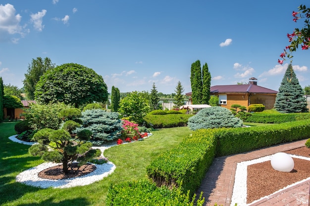 Bellissimo giardino sul retro con alberi, cespugli e pietre ben curati. Progettazione del paesaggio. Foto di alta qualità