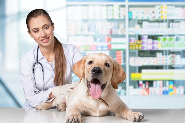 Bellissimo giovane veterinario con un cane su sfondo bianco