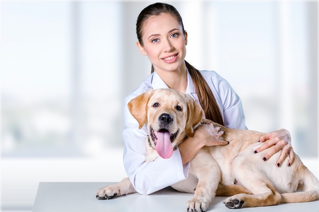 Bellissimo giovane veterinario con un cane su sfondo bianco