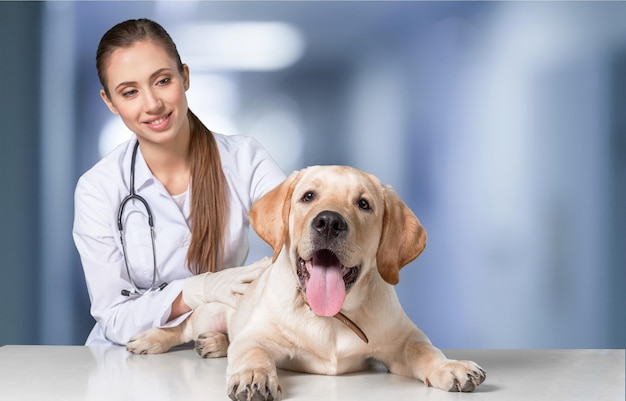 Bellissimo giovane veterinario con un cane su sfondo bianco