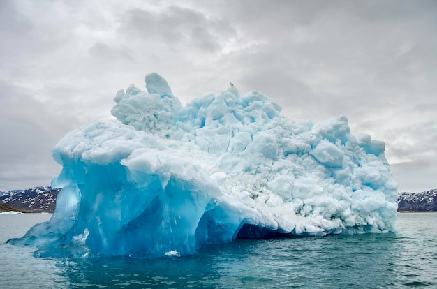 Bellissimo iceberg in una giornata nuvolosa e grigia