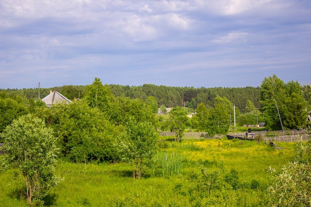 Bellissimo il paesaggio del villaggio con alberi e case.