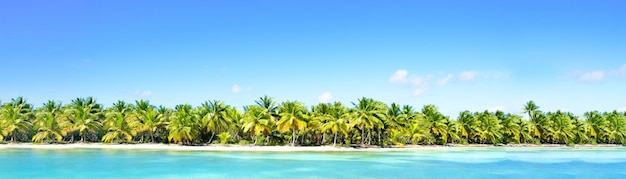 Bellissimo, incredibile sfondo della natura. Costa del Mar dei Caraibi