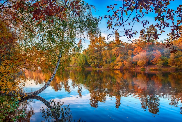 Bellissimo lago autunnale