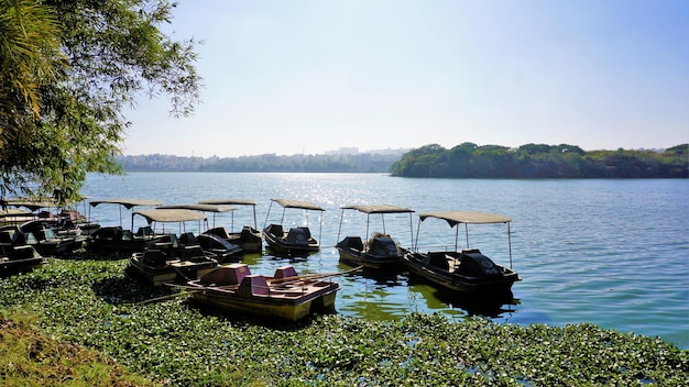 Bellissimo lago BTM o Madiwala di Bangalore al mattino con cielo sereno Il posto migliore per rilassarsi per i bengalesi