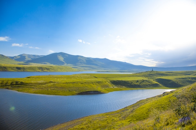 Bellissimo lago con foresta verde