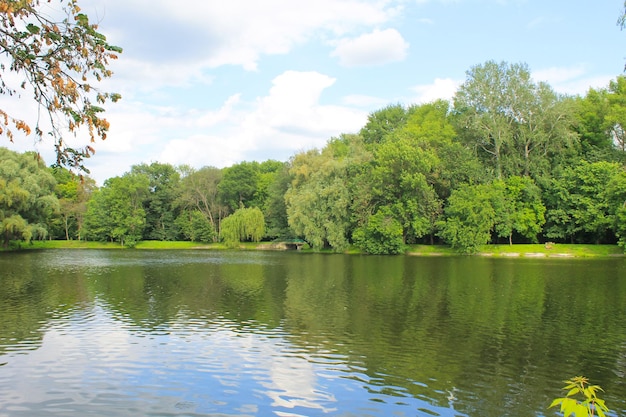 Bellissimo lago d'estate