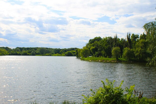 Bellissimo lago d'estate