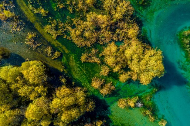 Bellissimo lago di colore turchese Issyk nella zona montuosa della regione di Almaty durante l'autunno colorato con betulle gialle e pini, Kazakistan