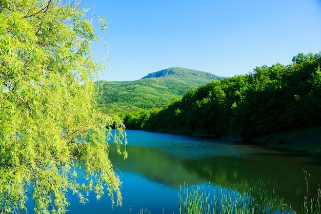 Bellissimo lago di montagna in estate