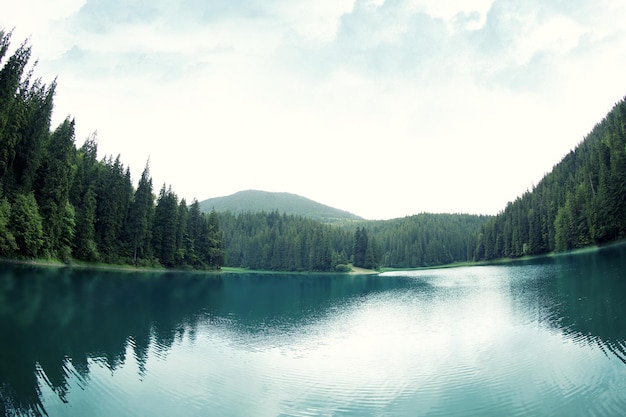 Bellissimo lago di montagna nella foresta